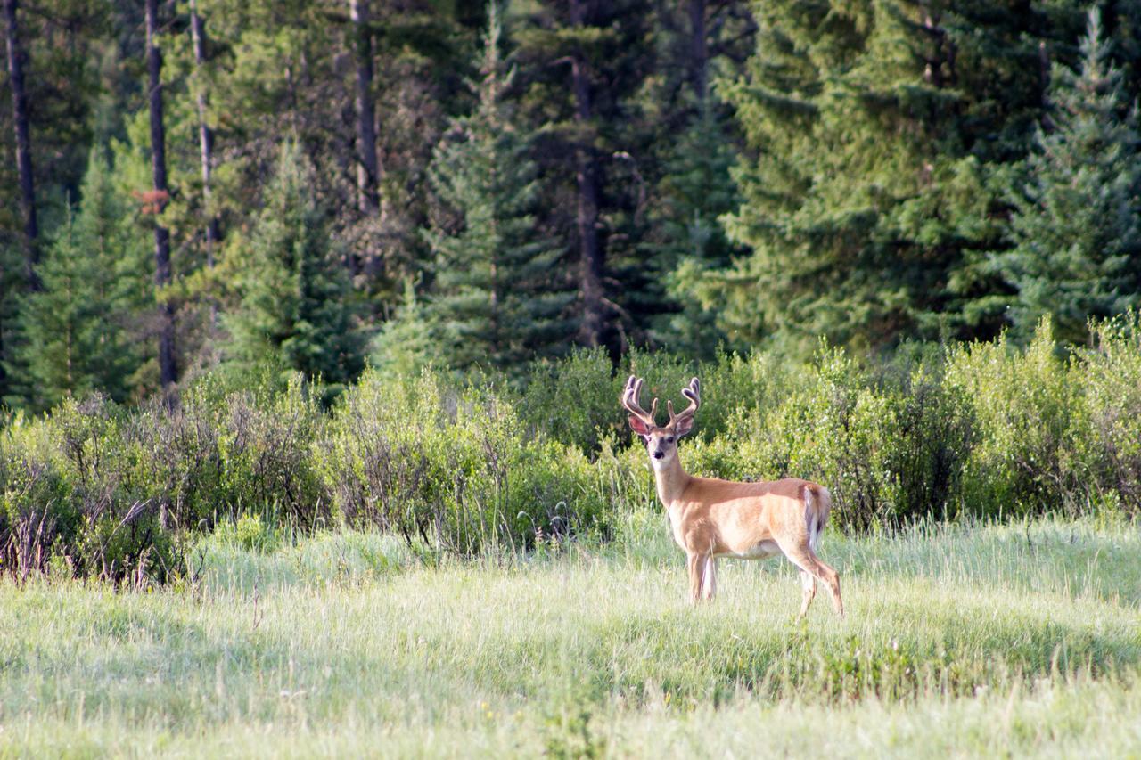 Rock Lake Lodge Provincial Park Rock Lake Lodge מראה חיצוני תמונה